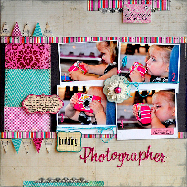 Budding Photographer ~Lily Bee Designs~