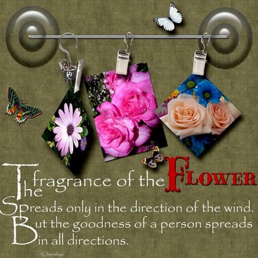 The Fragrance of a Flower