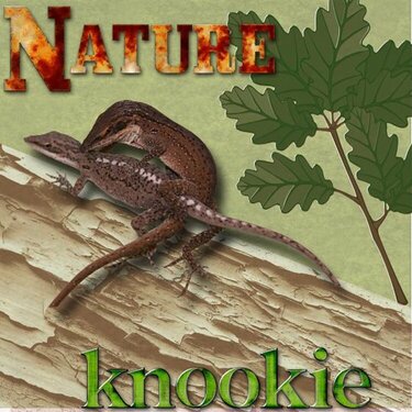 Nature Knookie