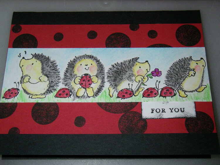 For You Hedgie and Ladybug