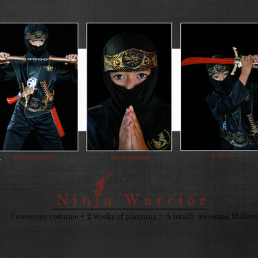 ninja warrior