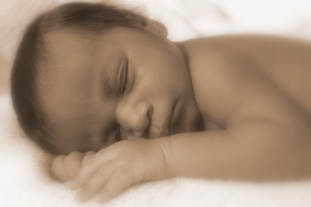 10 days old sepia