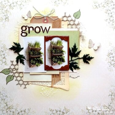 Grow - Pion Design