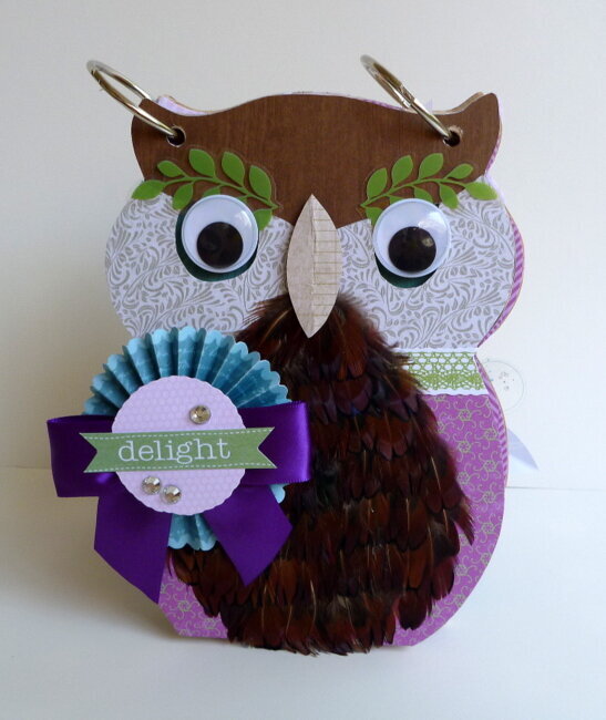 Owl Mini Album - Creative Inspirations Paint