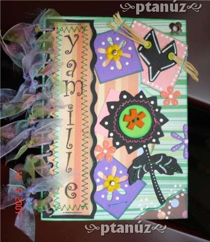 ALTERED NOTEBOOK