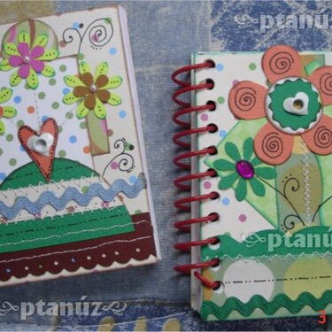 ALTERED NOTEBOOKS