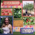 Berries 2007
