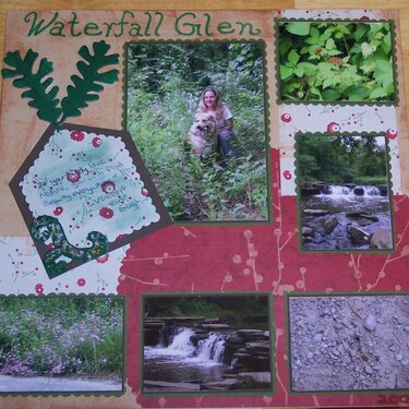Waterfall Glen 2005