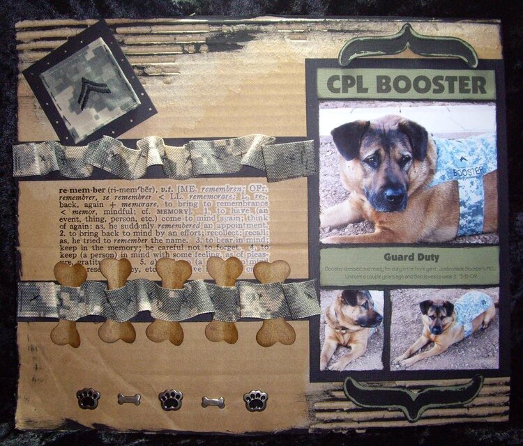 CPL BOOSTER