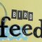 Bird feeder-BG Curio