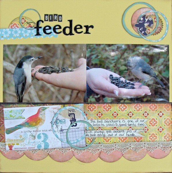 Bird feeder-BG Curio