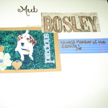 Meet Bosley