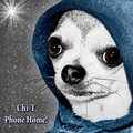Chi-T Phone Home!