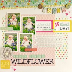 Sweet Little Wildflower *My Creative Scrapbook Kits*
