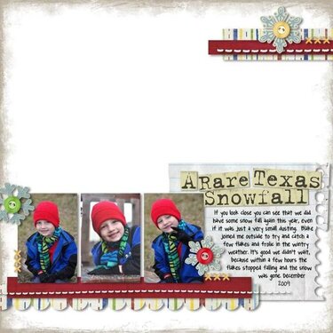 A Rare Texas Snowfall