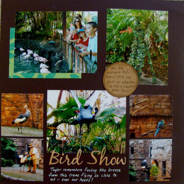 Bird Show (Disney) rt side
