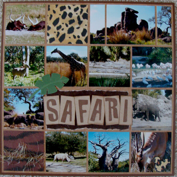 SAFARI