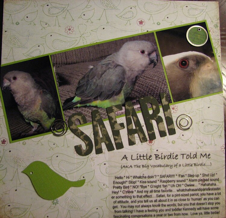 Safari: A Little Birdie Told Me