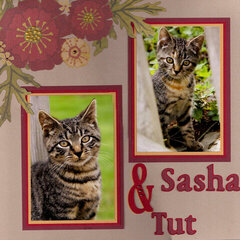Sasha & Tut