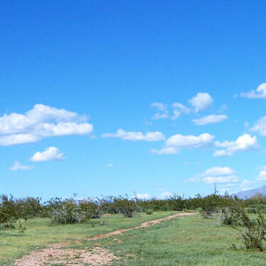 A Trail