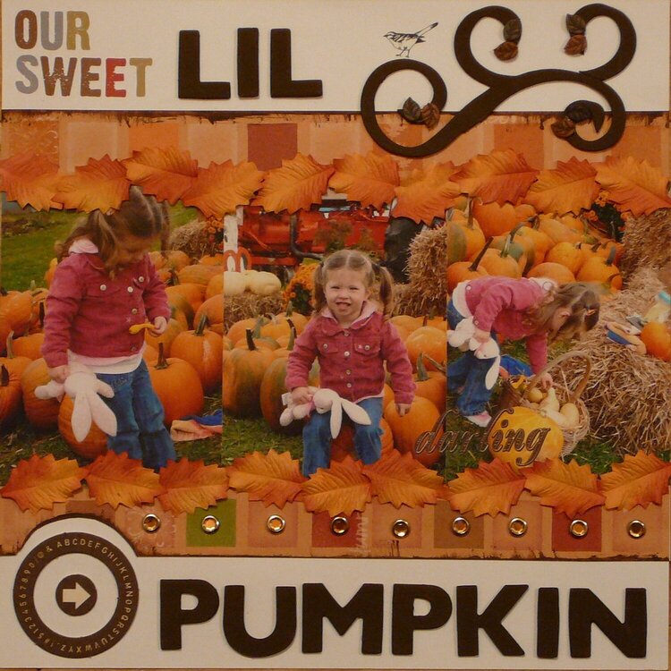 our sweet lil pumpkin