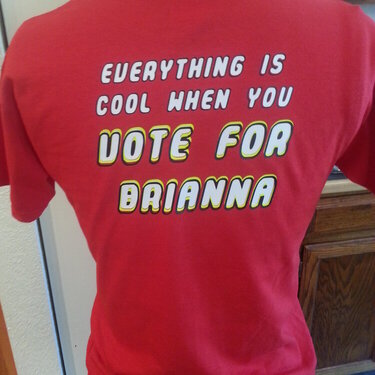 Brianna's shirt