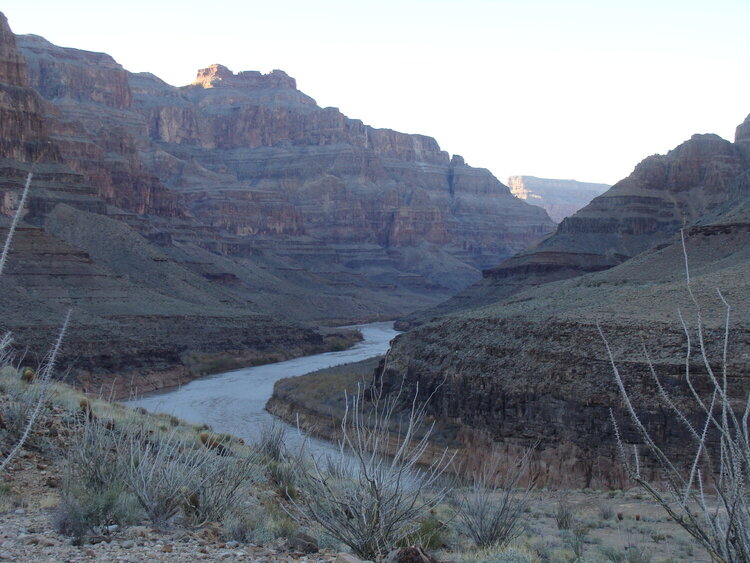 grand canyon and colorado river