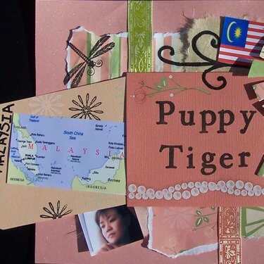 Friends mini album puppytiger (left side) with tag out