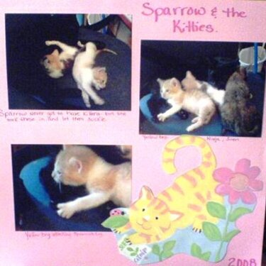 Sparrow &amp; the kittens