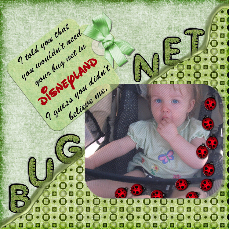 Bug Net