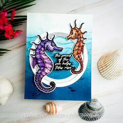 Seahorses of the Sea