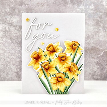 Triandrus Daffodils