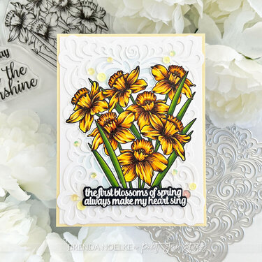Triandrus Daffodils
