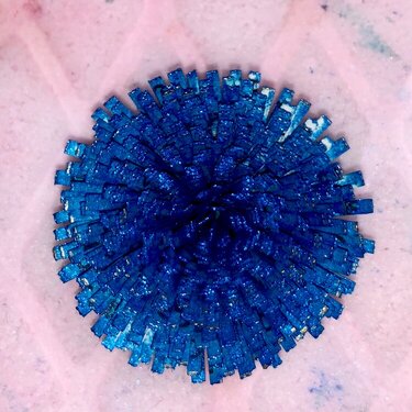 Blue quilled flower