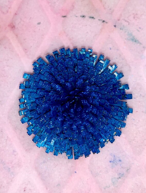 Blue quilled flower