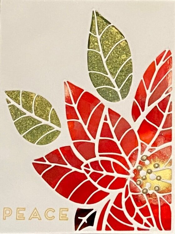 Modern Poinsettia Christmas Card