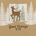 Deer looking glass holiday card