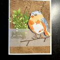 Bird and Greens Christmas Cards