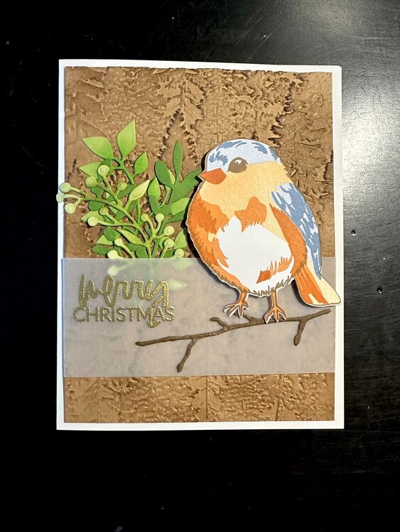 Bird and Greens Christmas Cards