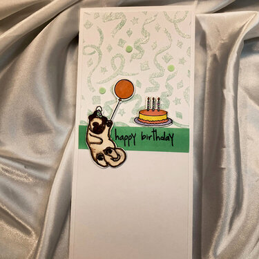 Birthday Pug