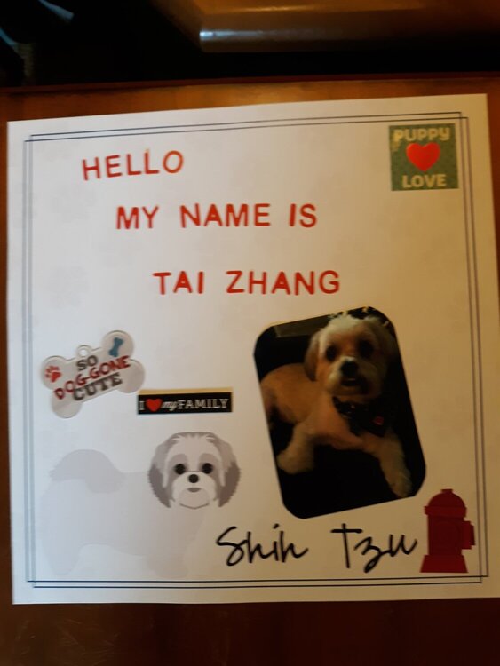 Puppy&#039;s name