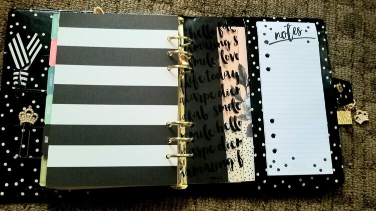 Carpe Diem planner