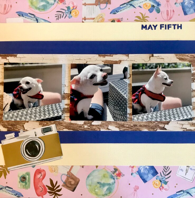 Summer Scrapbook Layout