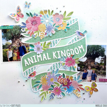 Animal Kingdom