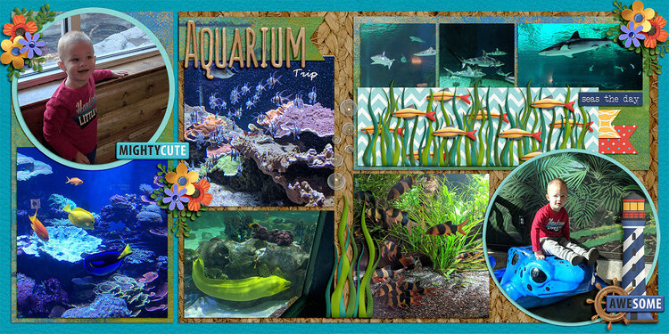 Aquarium Trip