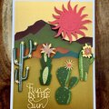 Fun in the Sun Cactus