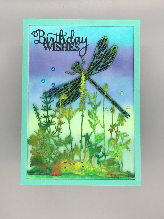 Birthday Wishes Dragonfly
