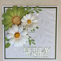 Daisy Birthday Wishes