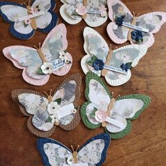 Butterfly Note Cards