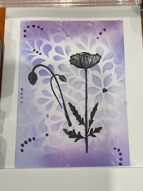 Poppy  Stamp with Stenciled background - a Lavinia Floral soft Lilac Card